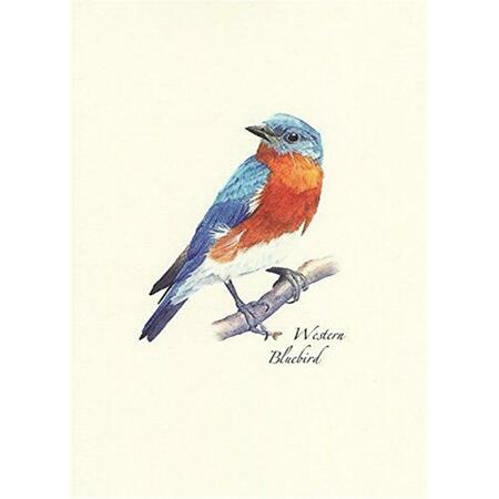 STEVEN M. LEWERS EARTH SKY WATER Western Bluebird Notecards LEWERSNC104